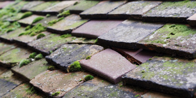 Little Marsh roof repair costs